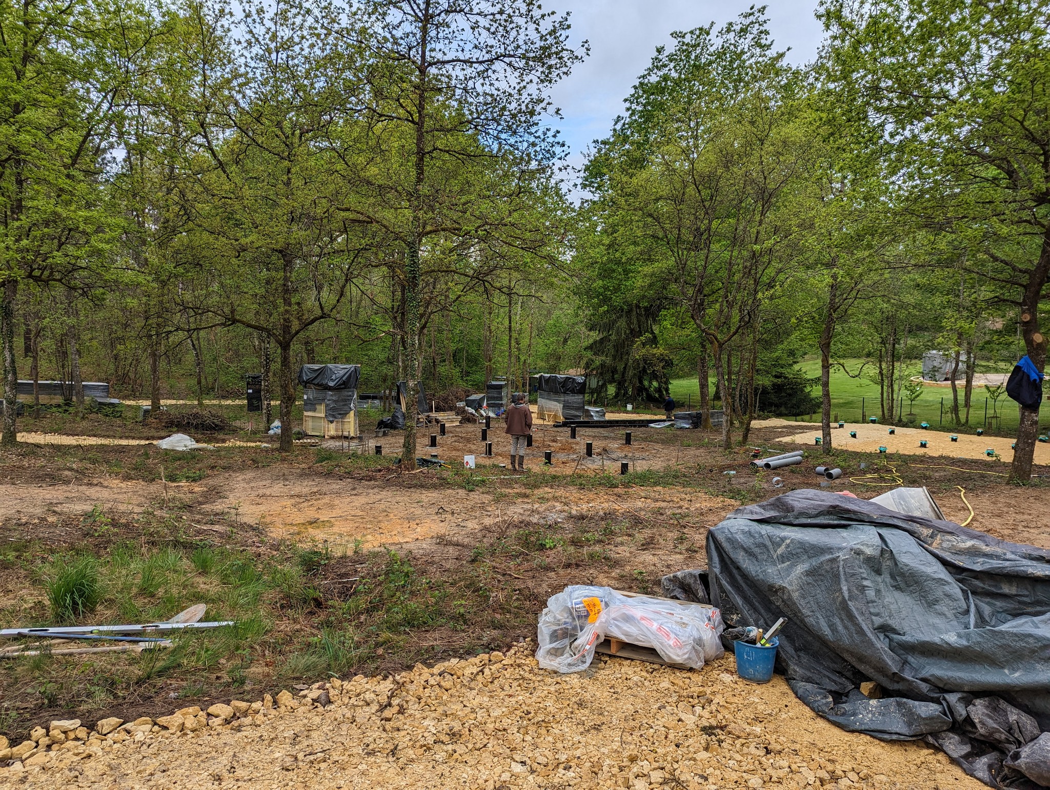 papillon qui vole de fleur en fleur